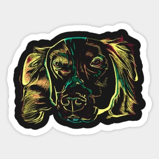 Border Collie 2 Sticker